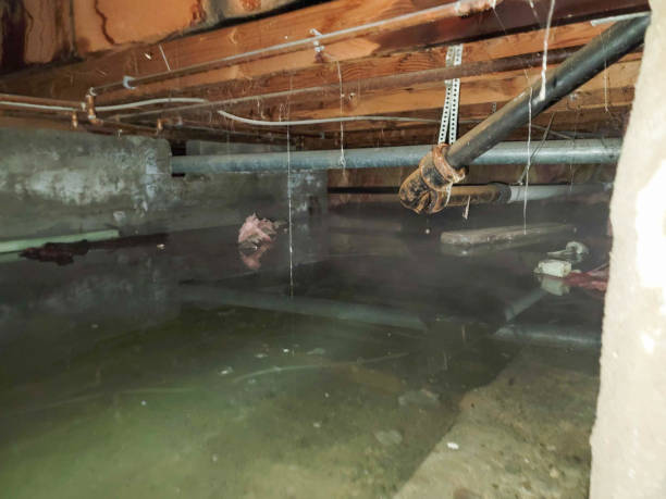 Best Flooded house restoration  in Alum Rock, CA