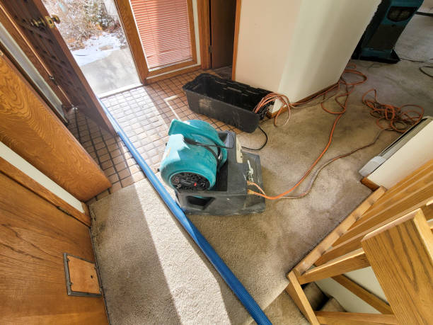Best Water damage cleanup near me  in Alum Rock, CA