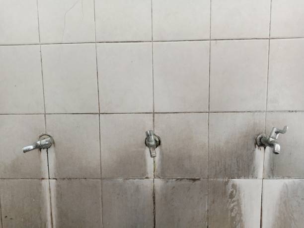 Best Local water damage restoration  in Alum Rock, CA