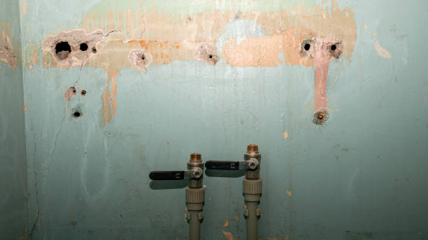 Best Water damage restoration near me  in Alum Rock, CA