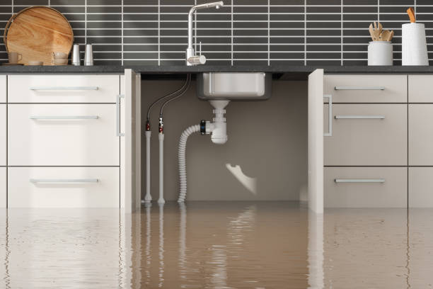 Best 24-hour water damage restoration  in Alum Rock, CA